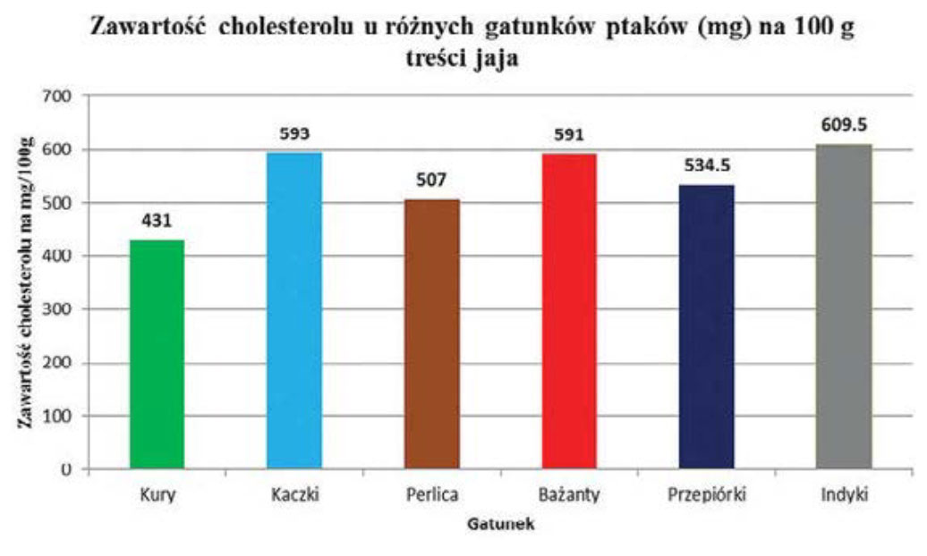 cholesterol3