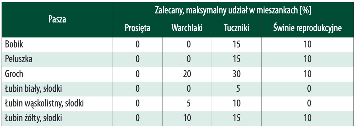 straczkowe2