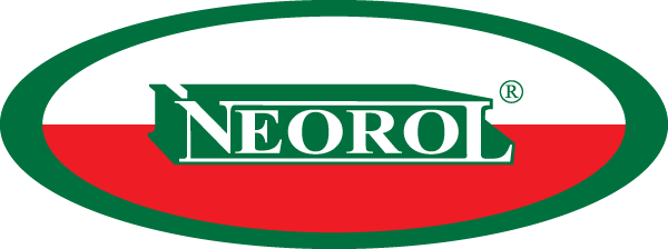 Neorol 2025